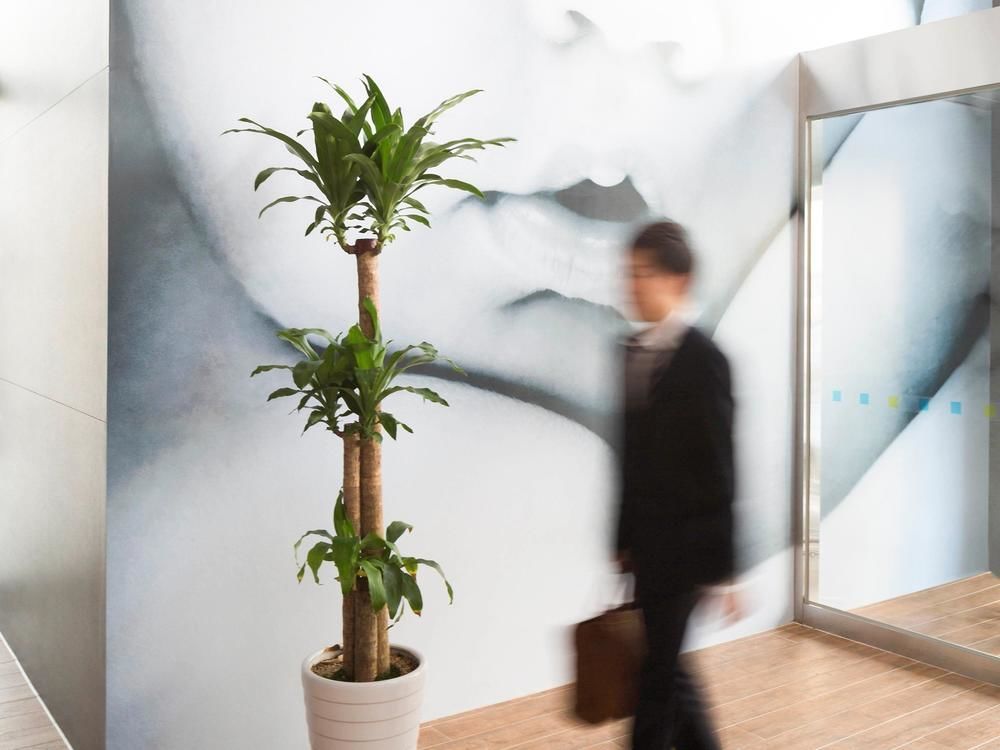 Hotel Ibis Budget Ambassador Dongdaemun